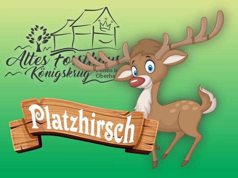 Apartamento Altes Forsthaus Koenigskrug Braunlage Exterior foto